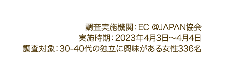調査実施機関：EC @JAPAN協会